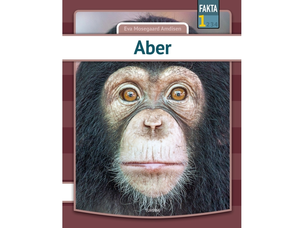 Aber Eva Mosegaard Amdisen - Csbooks Amd  - 9788740660982