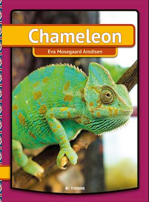 Chameleon Eva Mosegaard Amdisen - Amd  - 9788740616323